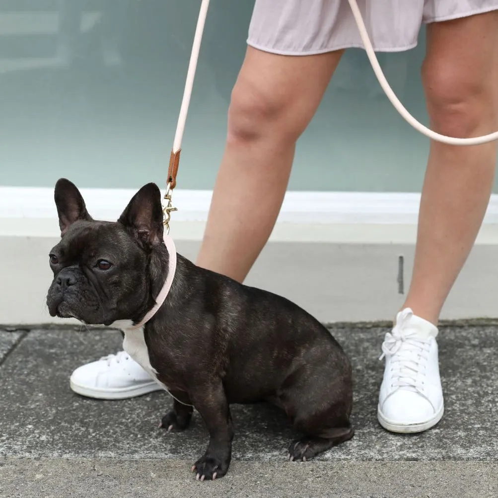 Billie Dog Collar - Pink Blush