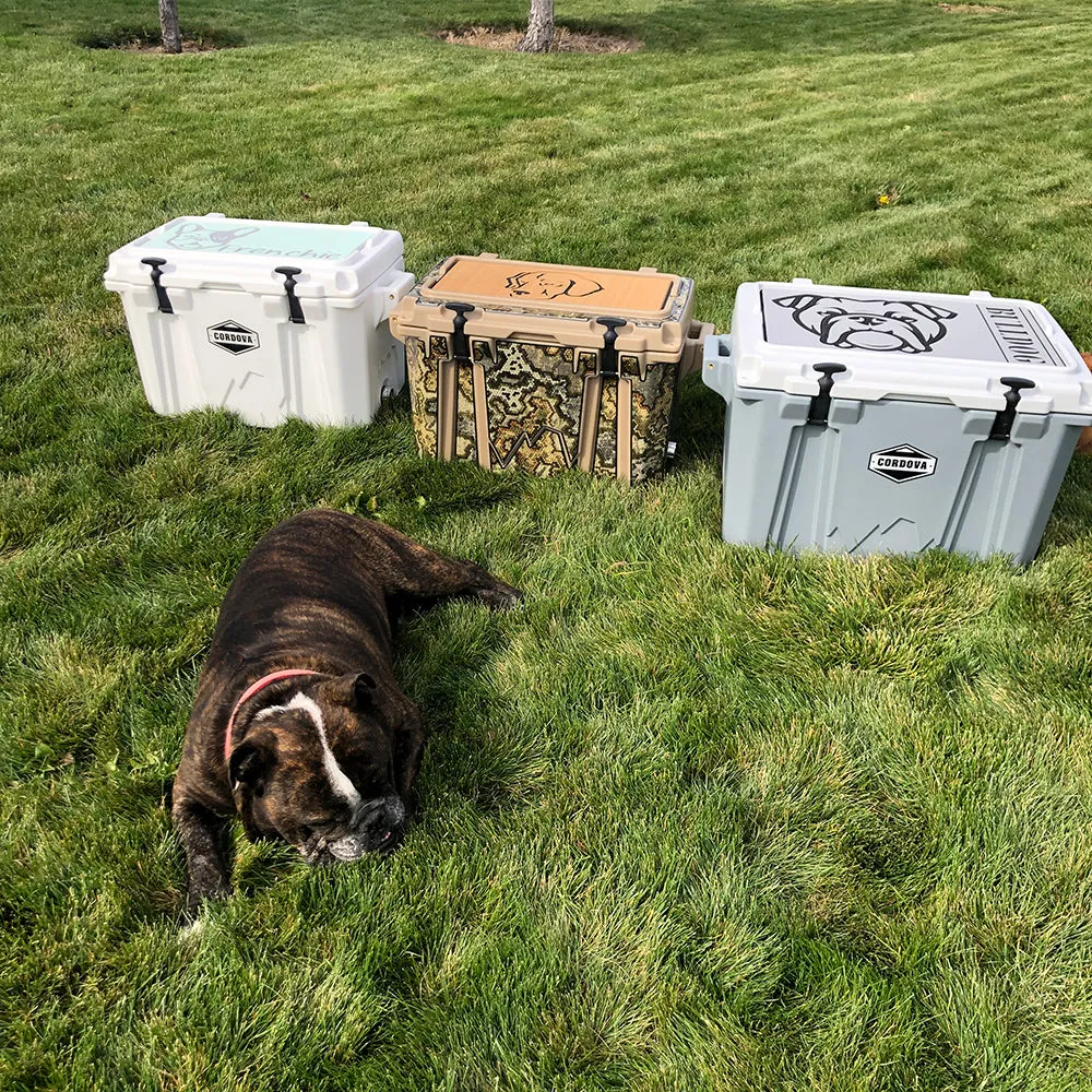 Cane Corso Name - AR/B