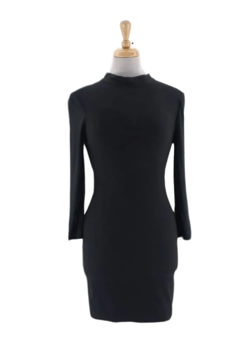 LONG SLEEVE TURTLENECK DRESS