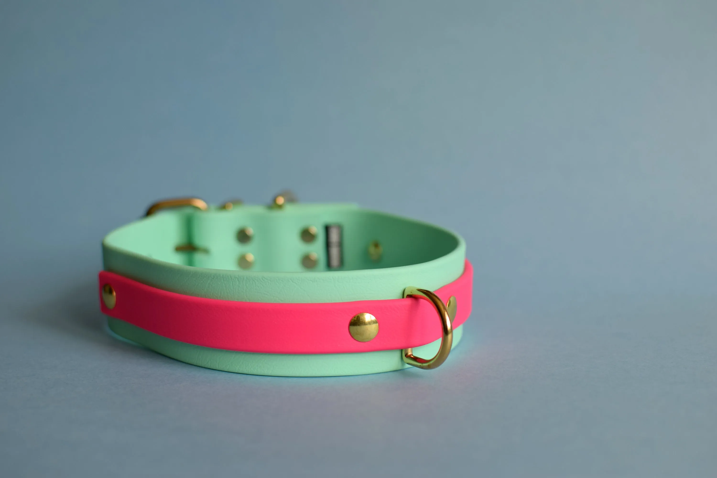 PREMADE COLLECTION - Seafoam & Fuchsia Biothane Dog Collar