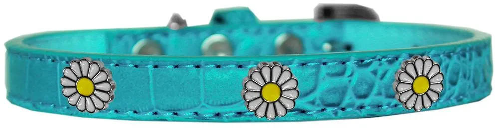 White Daisy Widget Croc Dog Collar Turquoise Size 18