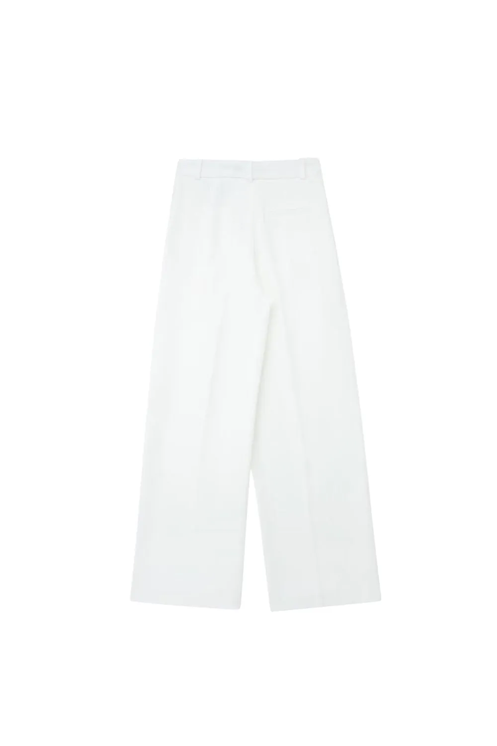 'Zhanetta' Pleated High Waist Wide Leg Pants