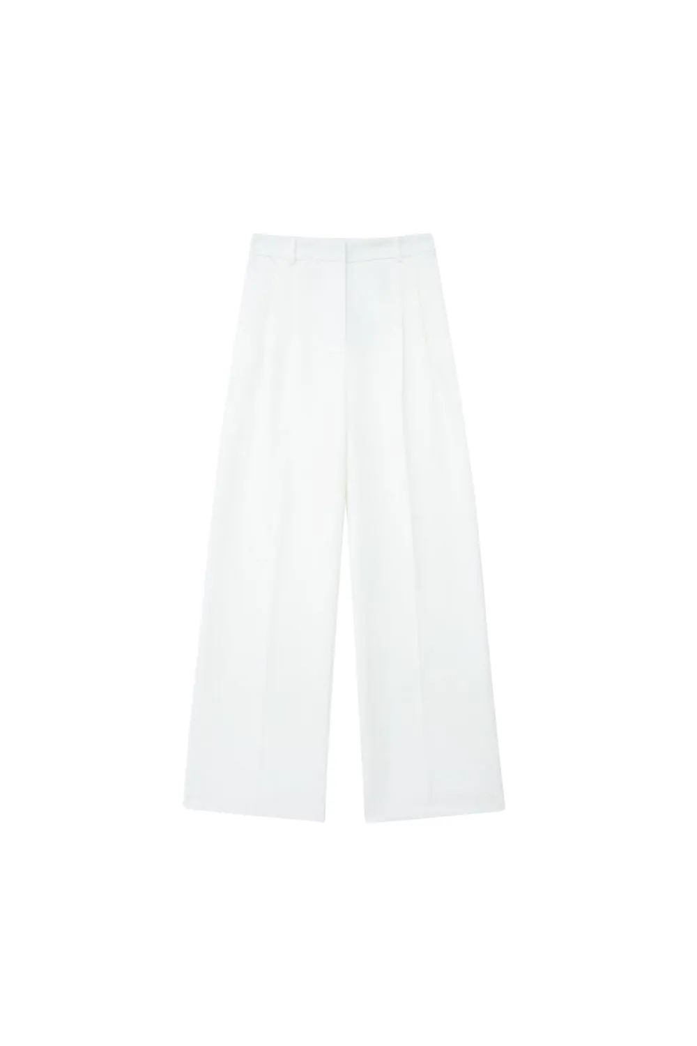 'Zhanetta' Pleated High Waist Wide Leg Pants